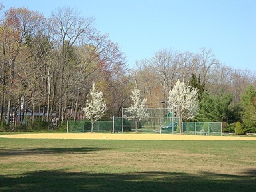 Village Green Village Green